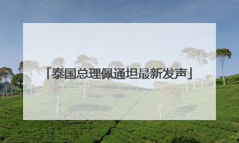 泰国总理佩通坦最新发声