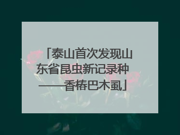 泰山首次发现山东省昆虫新记录种——香椿巴木虱