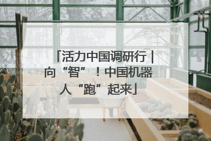 活力中国调研行｜向“智”！中国机器人“跑”起来