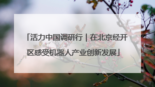 活力中国调研行｜在北京经开区感受机器人产业创新发展
