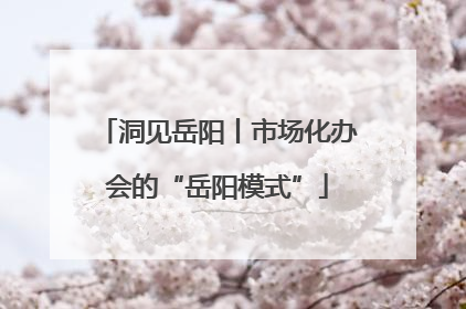 洞见岳阳丨市场化办会的“岳阳模式”