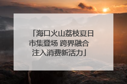 海口火山荔枝夏日市集登场 跨界融合注入消费新活力