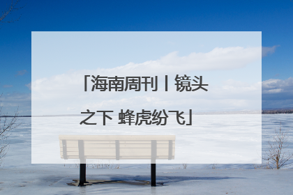 海南周刊丨镜头之下 蜂虎纷飞