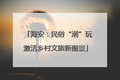 海安：民俗“潮”玩激活乡村文旅新图景