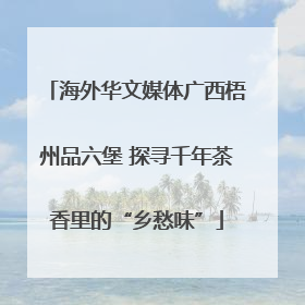 海外华文媒体广西梧州品六堡 探寻千年茶香里的“乡愁味”