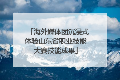 海外媒体团沉浸式体验山东省职业技能大赛技能成果