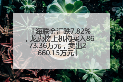 海联金汇跌7.82%，龙虎榜上机构买入8673.36万元，卖出2660.15万元