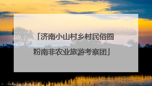济南小山村乡村民俗圈粉南非农业旅游考察团