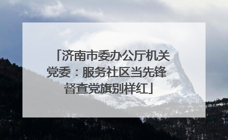 济南市委办公厅机关党委：服务社区当先锋 督查党旗别样红