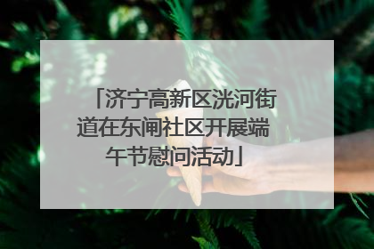济宁高新区洸河街道在东闸社区开展端午节慰问活动