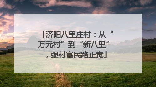 济阳八里庄村：从“万元村”到“新八里”，强村富民路正宽
