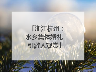 浙江杭州：水乡集体婚礼引游人观赏