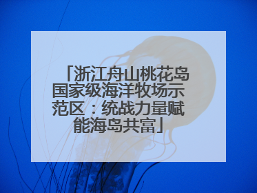 浙江舟山桃花岛国家级海洋牧场示范区：统战力量赋能海岛共富