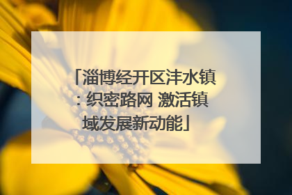 淄博经开区沣水镇：织密路网 激活镇域发展新动能