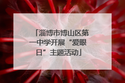 淄博市博山区第一中学开展“爱眼日”主题活动