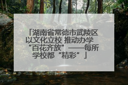 湖南省常德市武陵区以文化立校 推动办学“百花齐放”——每所学校都“精彩”