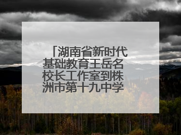 湖南省新时代基础教育王岳名校长工作室到株洲市第十九中学开展研修活动