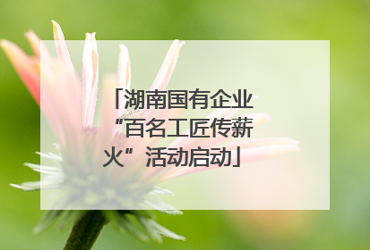 湖南国有企业“百名工匠传薪火”活动启动