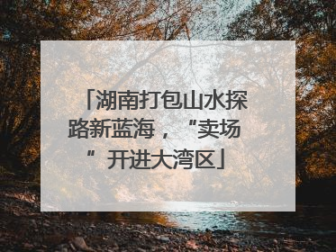 湖南打包山水探路新蓝海，“卖场”开进大湾区
