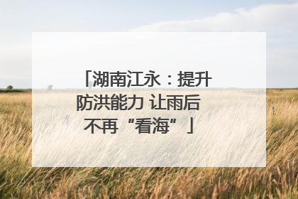 湖南江永：提升防洪能力 让雨后不再“看海”