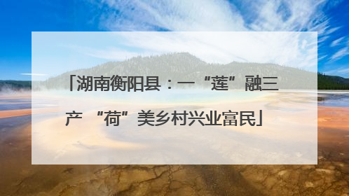 湖南衡阳县：一“莲”融三产 “荷”美乡村兴业富民