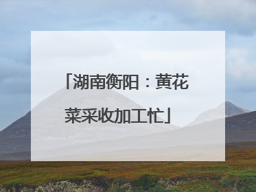 湖南衡阳：黄花菜采收加工忙