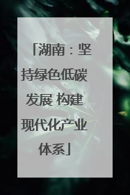 湖南：坚持绿色低碳发展 构建现代化产业体系