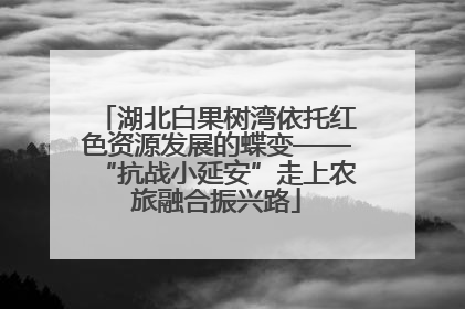 湖北白果树湾依托红色资源发展的蝶变——“抗战小延安”走上农旅融合振兴路