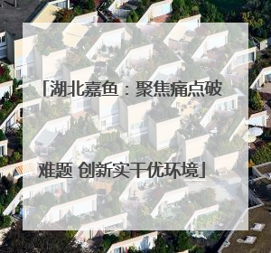 湖北嘉鱼：聚焦痛点破难题 创新实干优环境