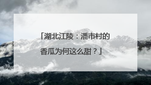 湖北江陵：潘市村的香瓜为何这么甜？