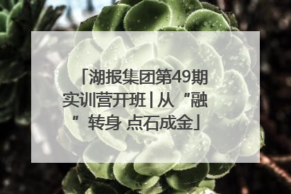 湖报集团第49期实训营开班│从“融”转身 点石成金