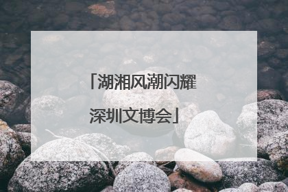 湖湘风潮闪耀深圳文博会