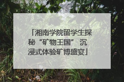 湘南学院留学生探秘“矿物王国” 沉浸式体验矿博盛宴