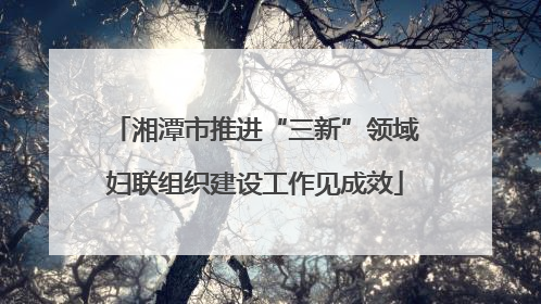 湘潭市推进“三新”领域妇联组织建设工作见成效