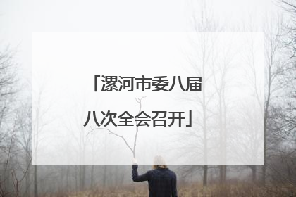 漯河市委八届八次全会召开