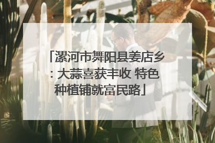 漯河市舞阳县姜店乡：大蒜喜获丰收 特色种植铺就富民路