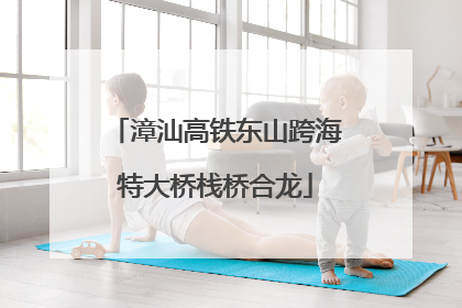 漳汕高铁东山跨海特大桥栈桥合龙