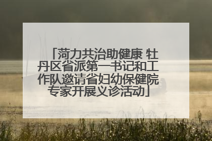 菏力共治助健康 牡丹区省派第一书记和工作队邀请省妇幼保健院专家开展义诊活动