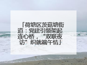 荷塘区茨菇塘街道：党建引领架起连心桥，“双联夜访”织就端午情