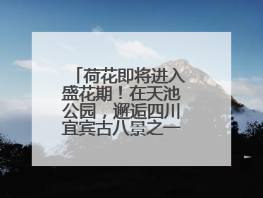 荷花即将进入盛花期！在天池公园，邂逅四川宜宾古八景之一“天池晚照”