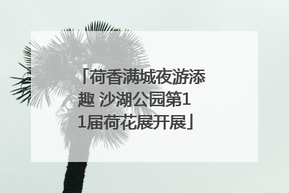 荷香满城夜游添趣 沙湖公园第11届荷花展开展