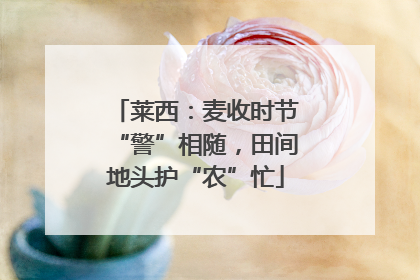 莱西：麦收时节“警”相随，田间地头护“农”忙