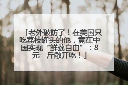 老外破防了！在美国只吃荔枝罐头的他，竟在中国实现“鲜荔自由”：8元一斤敞开吃！