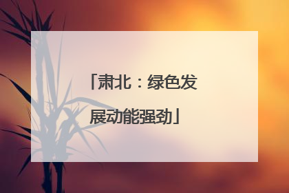 肃北：绿色发展动能强劲