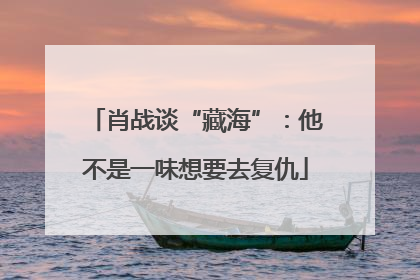 肖战谈“藏海”：他不是一味想要去复仇