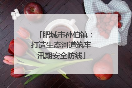 肥城市孙伯镇：打造生态河道筑牢汛期安全防线