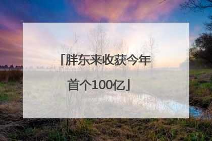 胖东来收获今年首个100亿