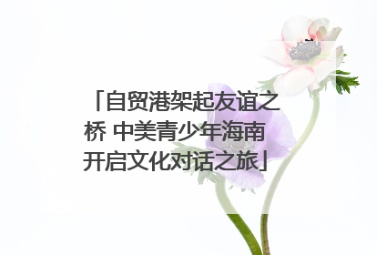 自贸港架起友谊之桥 中美青少年海南开启文化对话之旅