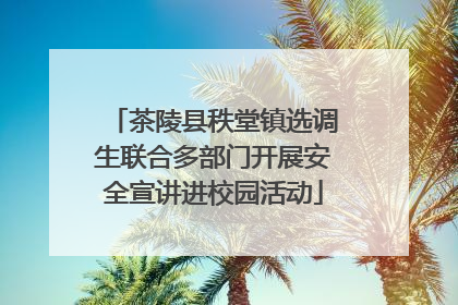 茶陵县秩堂镇选调生联合多部门开展安全宣讲进校园活动
