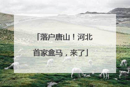 落户唐山！河北首家盒马，来了